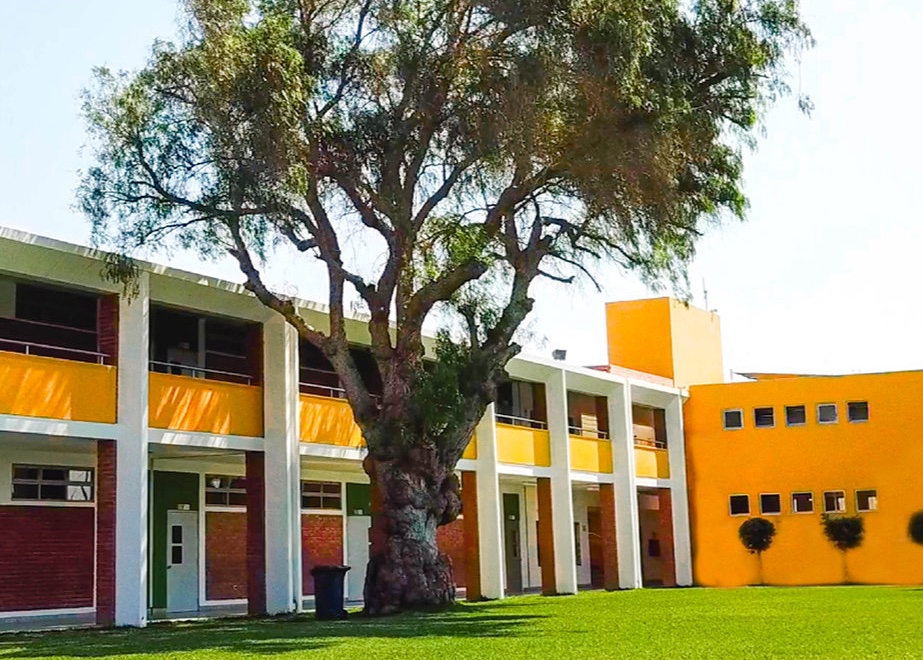 https://piura450.edu.pe/gallery/demo.jpg